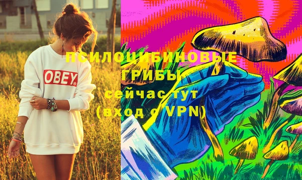дурь Белокуриха