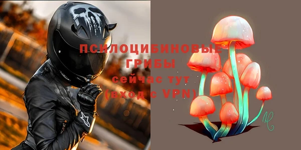 дурь Белокуриха
