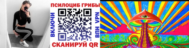 Купить где  Мосальск  Галлюциногенные грибы прущие грибы 